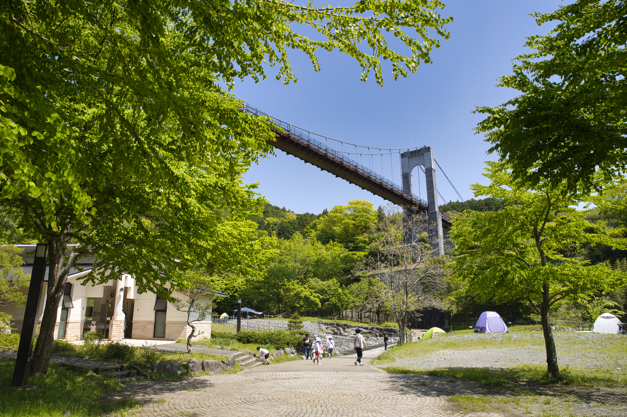 秦野市の住みやすさポイント④自然豊かなお出かけスポットが多い