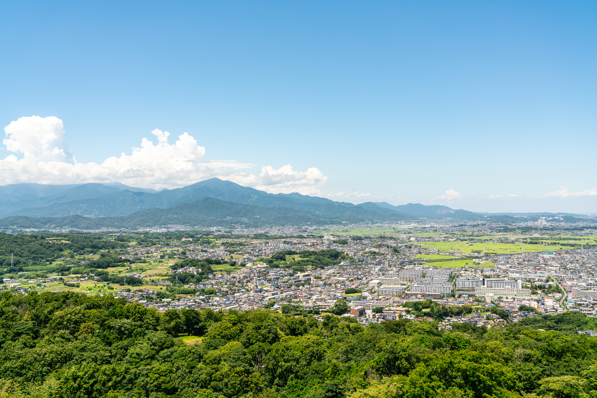 平塚市の住みやすいエリア