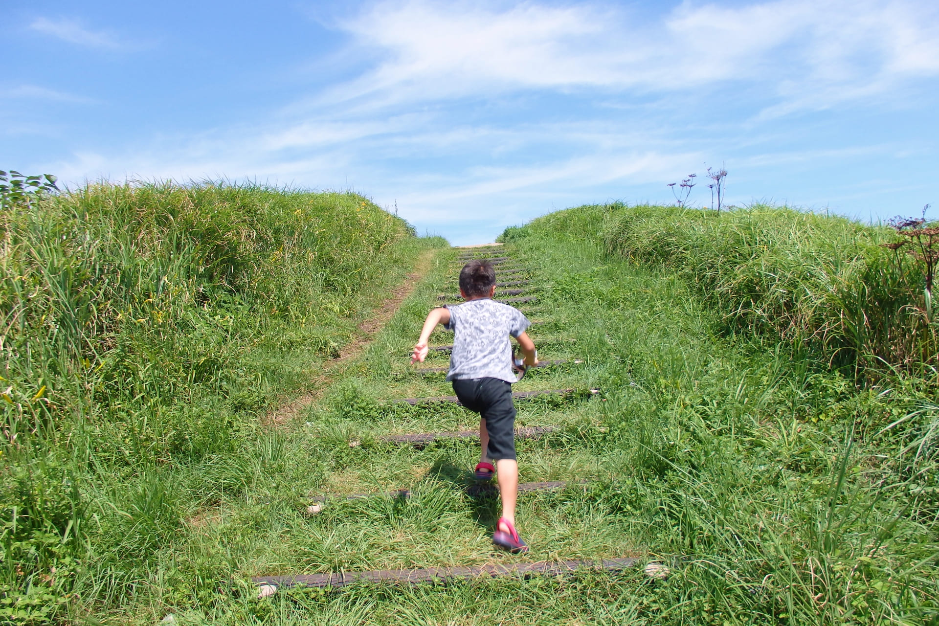 背中を向けて、走って逃げない