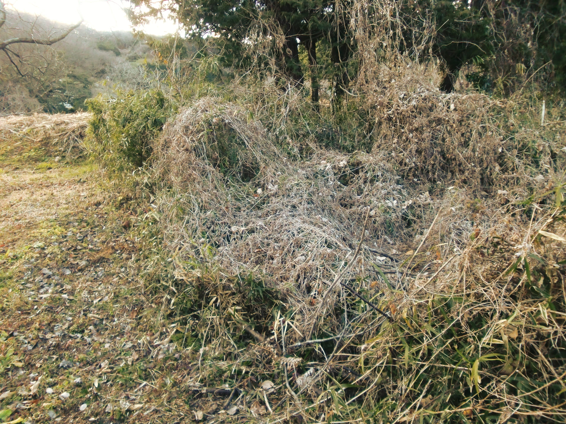 見通しを良くする