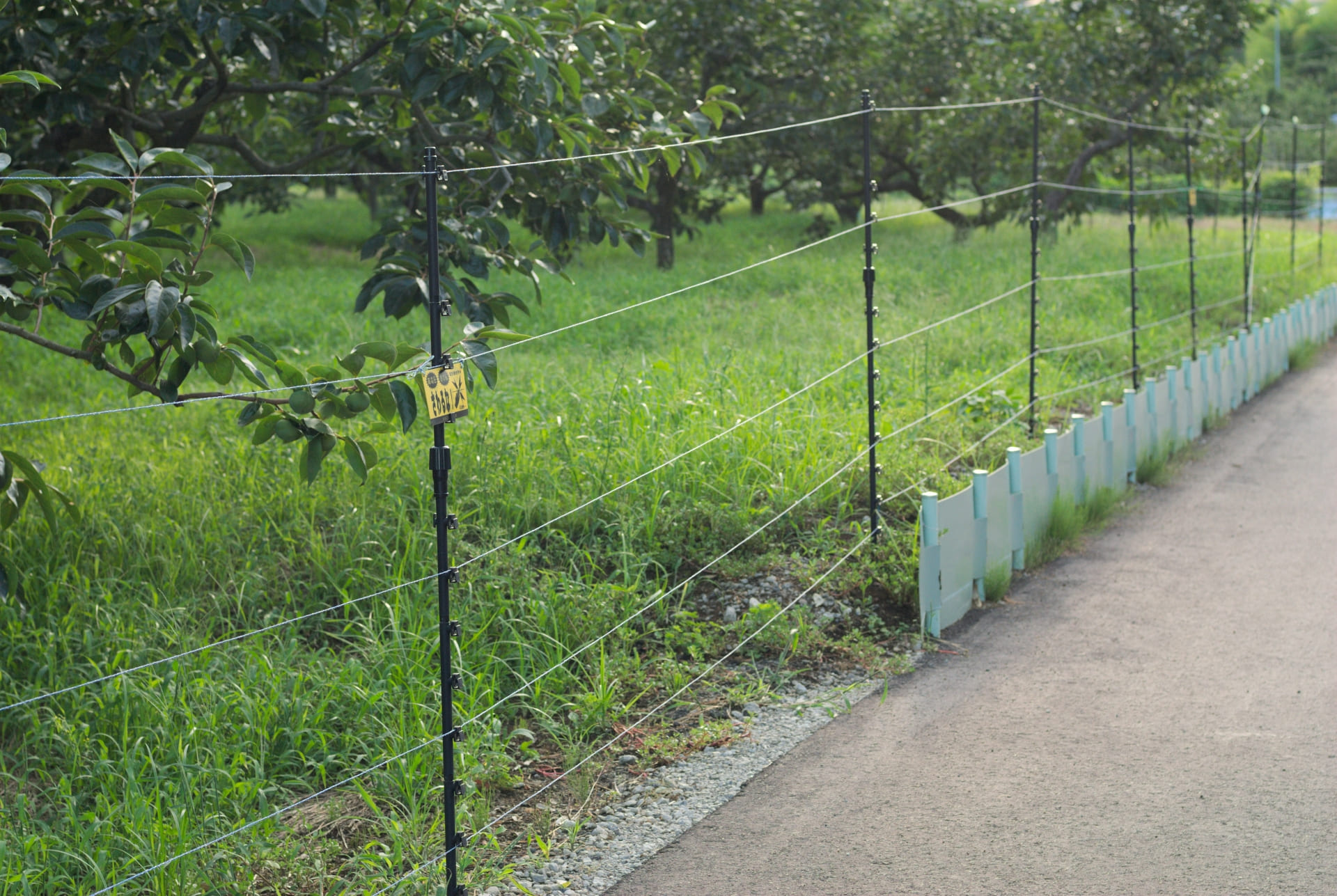 フェンス・電気柵の設置