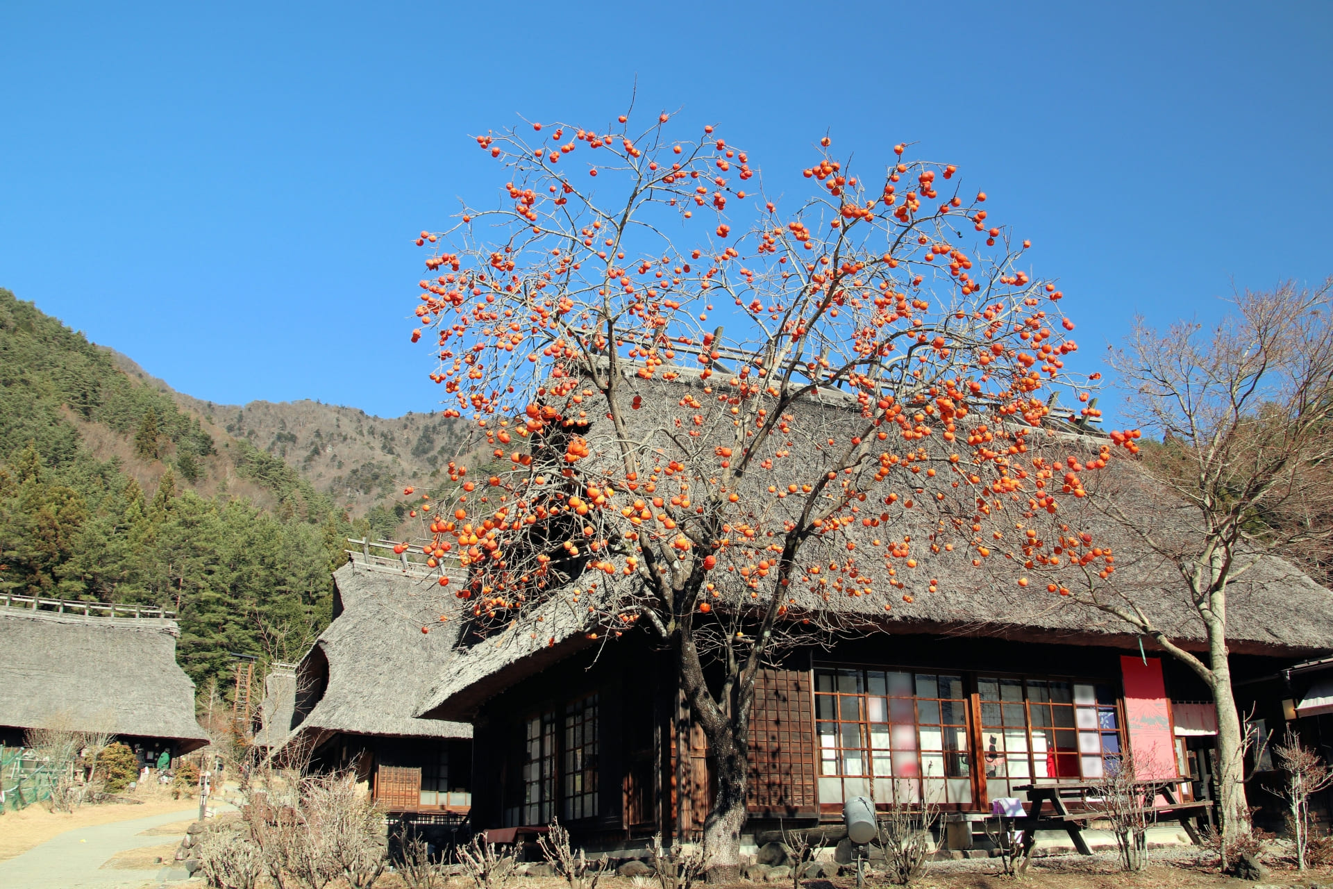 餌となり得るものを置かない