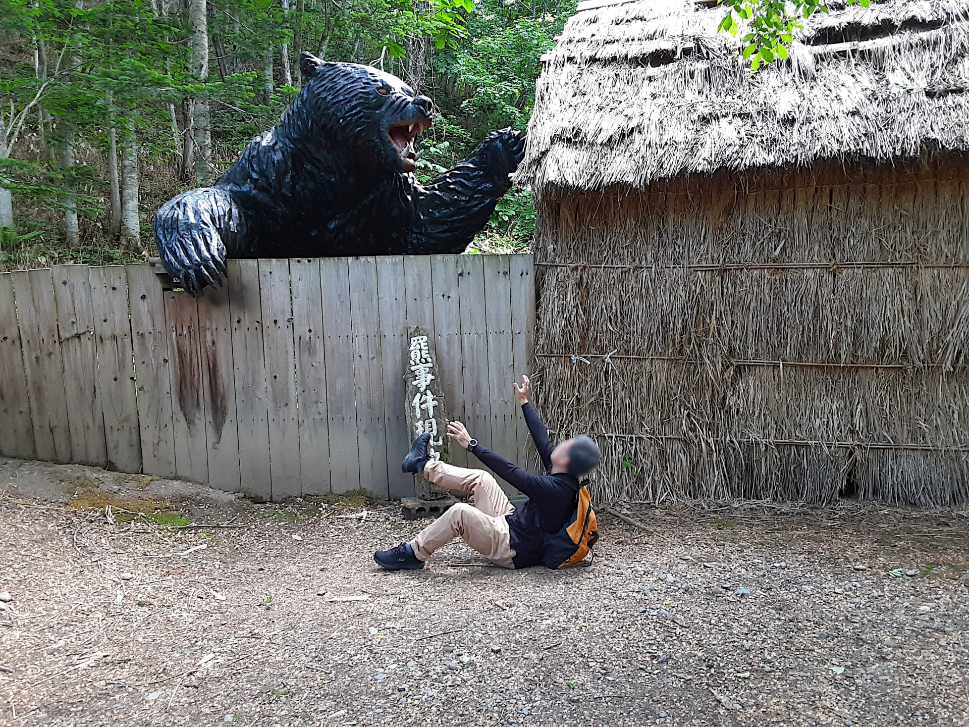 国内で起こったクマによる獣害事件