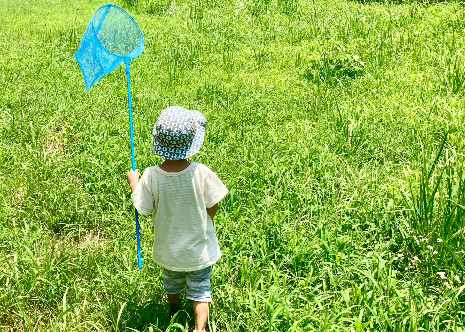 子どもやお年寄りの一人での外遊び