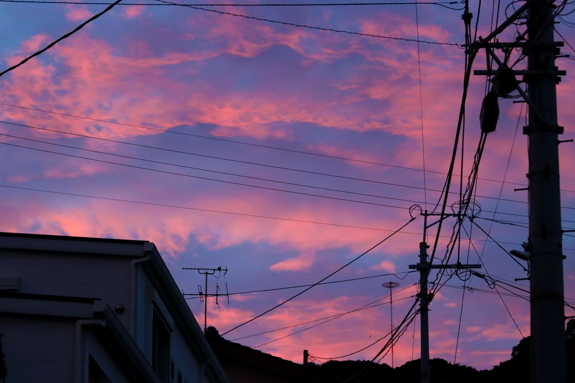 クマの活動時間帯の行動は避ける