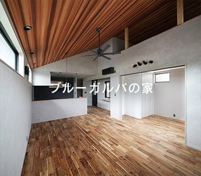 ブルーガルバの家